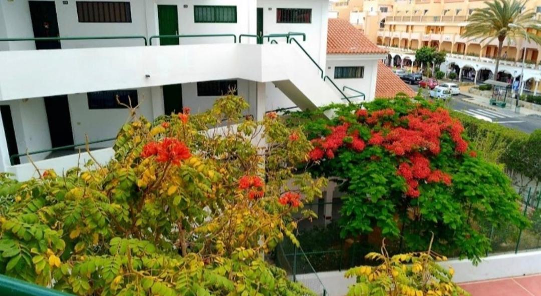 Luxury Sonnenland Appartement Maspalomas  Buitenkant foto